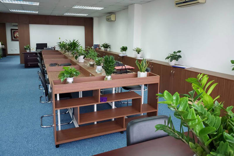 y tuong thiet ke van phong xanh dep