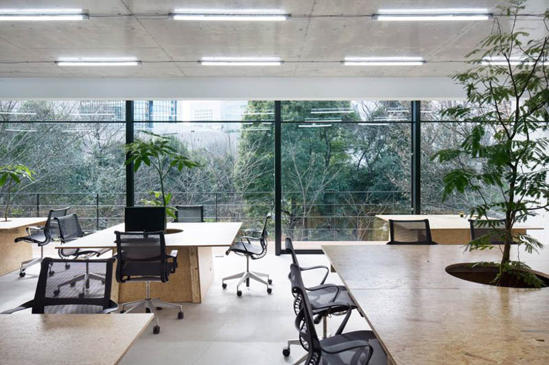 thiet ke van phong nho 50m2 dep