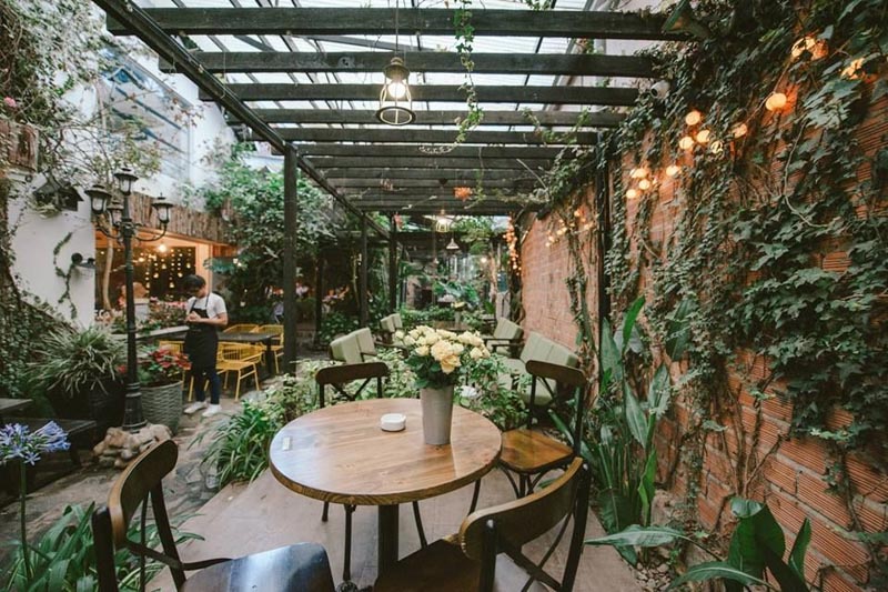 thiết kế cafe xanh