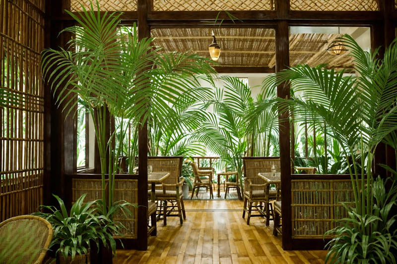 thiet ke quan cafe