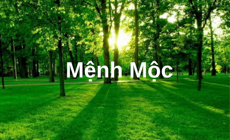 menh moc