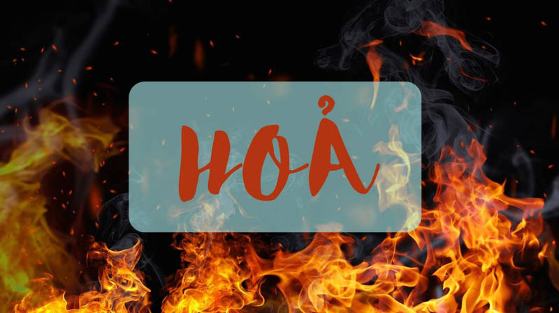 menh hoa sinh nam nao