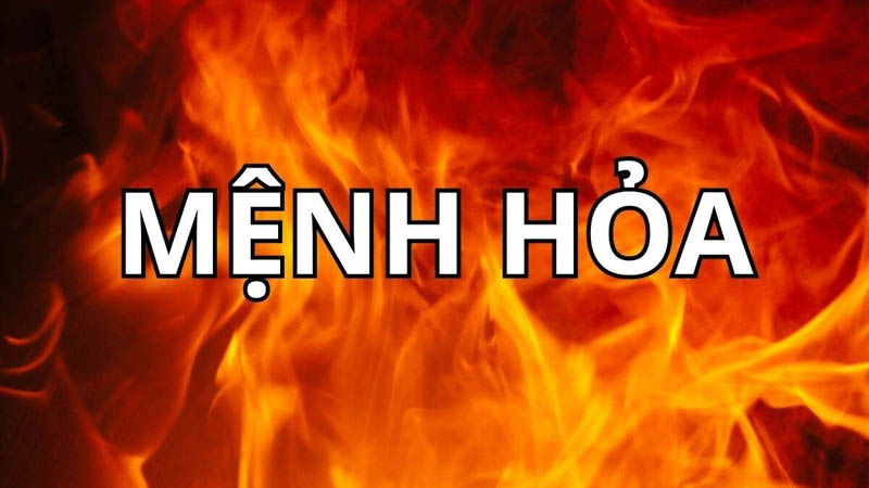 menh hoa